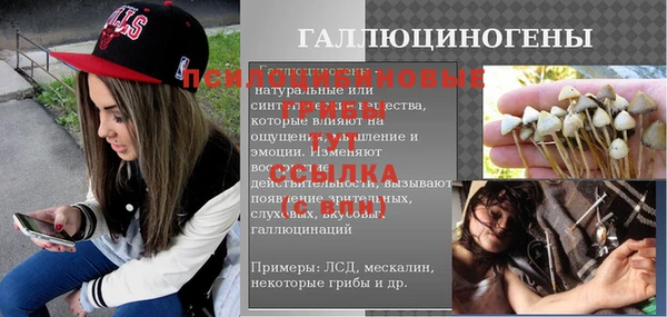 прущая мука Вяземский