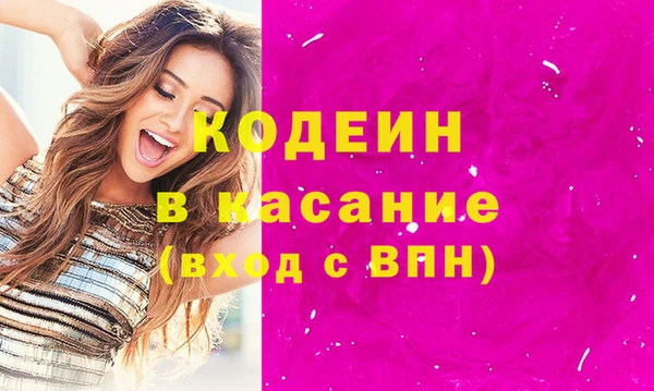 прущая мука Вяземский