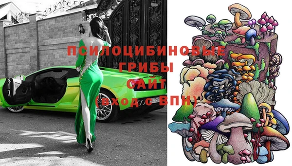прущая мука Вяземский